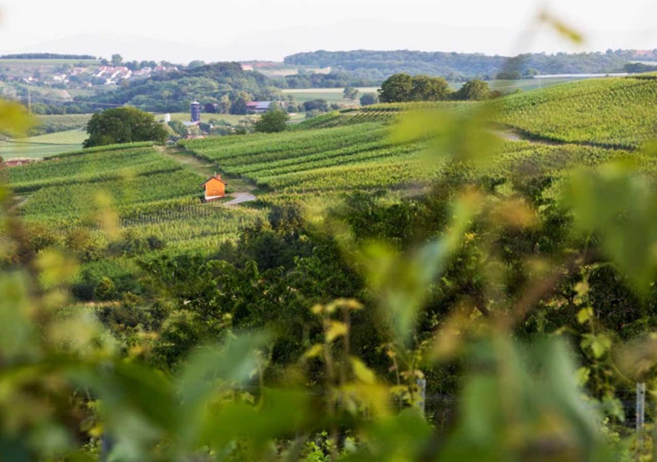 Hotel & Restaurant Tanne Fischingen ภายนอก รูปภาพ